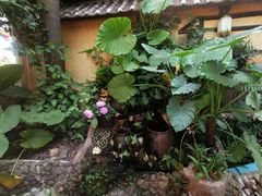 -园林美食城·本土农家菜(杨和镇店)