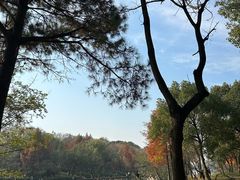 -西溪国家湿地公园