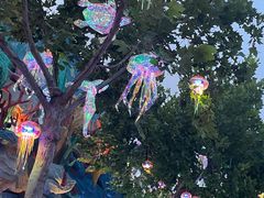 -郑州方特梦幻王国