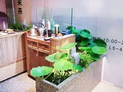 -新辣道鱼火锅(西直门店)
