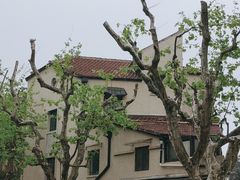 -RUMORS COFFEE ROASTERY鲁马滋咖啡(湖南路店)