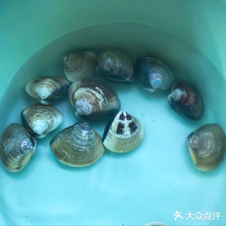 冬瓜海白汤—海的味道你知道