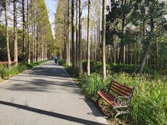 -昆山城市生态森林公园