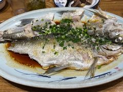 -阿巧茶庄