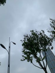 -HEYAN长风荷妍专业脱毛美肤
