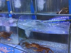 -晶渔坊·海鲜私房菜(东夷小镇店)