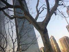 -上海环球金融中心云端足球盛典