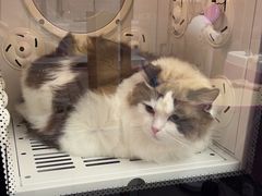 -FAELING PETS美天灵宠物(富力广场店)