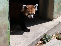 -苏州太湖西山岛开心农场