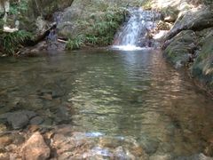 -羚羊峡古栈道森林公园