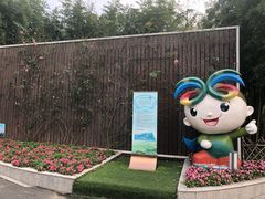 -陈家山荷花公园