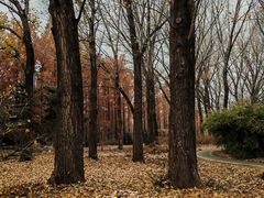 -国家植物园南园