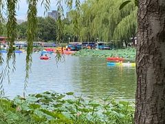 -WhaleSports户外水上运动俱乐部(朝阳公园店)