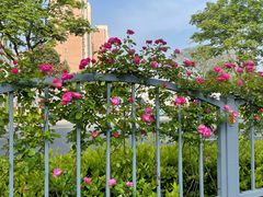 -芳华路(地铁站)