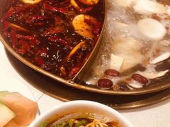 -杨家火锅(国美店)