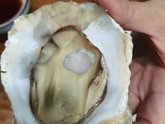 -老家黄墩小错鸡·活海鲜