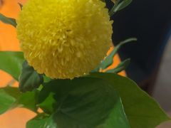 -拉蒂娜·巴西牛排馆 Latina·Brazilian Steakhouse(王府井喜悦店)