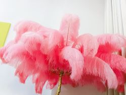 -新蝶变皮肤管理中心