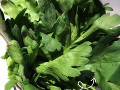 鲜塘蒿-为什么牛潮汕牛肉火锅(中信广场店)