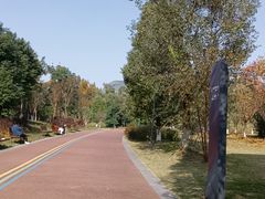 -桂溪生态公园