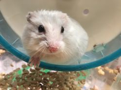 点击看大图 -悦芳庭美肤美体品牌集合店