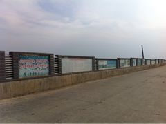 -湖南东洞庭湖国家级自然保护区