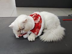 -全心全意动物诊疗中心医院(北苑店)