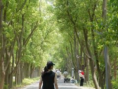 -同里国家湿地公园