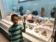 -湖南省地质博物馆