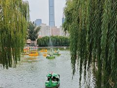 -团结湖公园