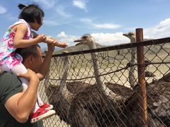 -新疆天山野生动物园