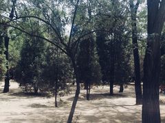 -森林公园(尖草坪区)