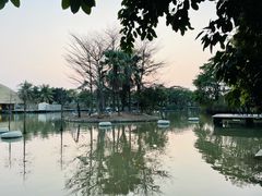 -南沙水鸟世界生态园