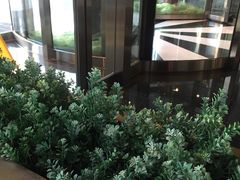 -星巴克(北京中化大厦店)