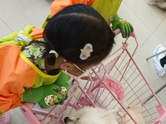 -怪兽屋·羊驼·猫咖·狗咖(俊华广场店)