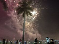-南宁花花大世界景区