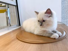 -FULL MOON满月咖啡