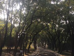 -东湖落雁景区