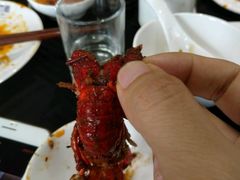 -同火锅
