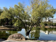 -安徽工业大学(秀山校区)