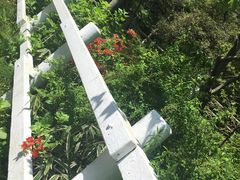 -神户市立六甲山牧场