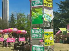 -西苑公园