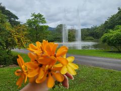 -中国科学院西双版纳热带植物园