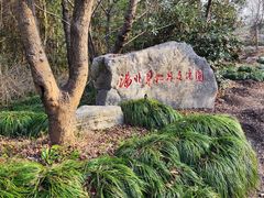 -上海海湾国家森林公园