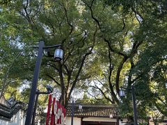 -秋霞圃
