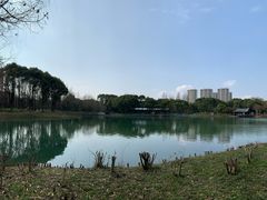 -新洲生态园
