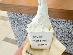 -野人先生Gelato(上海长宁龙之梦店)