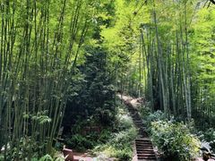 -蜀南竹海景区