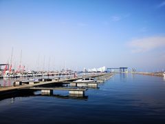 -青岛海滨风景区