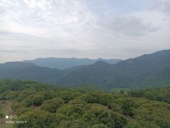 -广州市石门国家森林公园